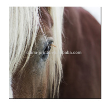 Horse Eyes Art Print Print / Home Decor Animal Image Print On Canvas Prêt à accrocher sur le mur